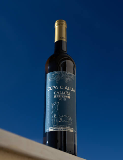 capa-calua-callum-2019-1