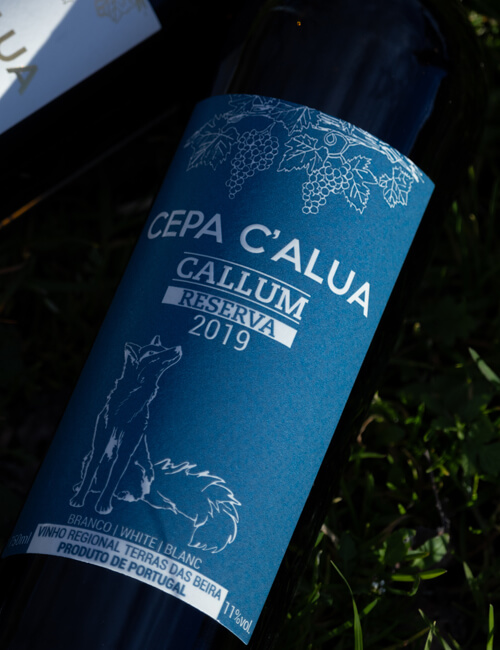 capa-calua-callum-2019-2