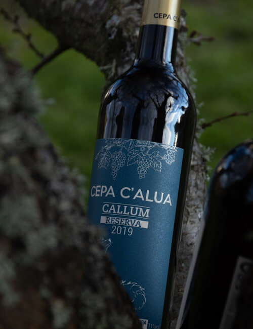 capa-calua-callum-2019-3