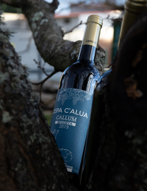 capa-calua-callum-2019-4