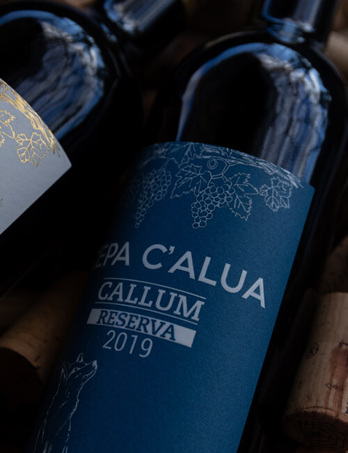 capa-calua-callum-2019-5